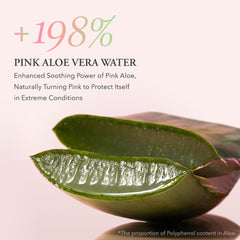 AprilSkin Pink Aloe Facial Polish Cleanser