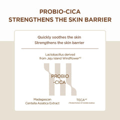 Skin 1004 Madagascar Centella Probio-Cica Intensive Ampoule