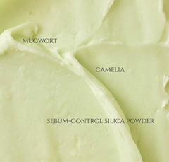 BEAUTY OF JOSEON Matte Sun Stick: Mugwort+Camelia SPF 50+ PA++++(18g)