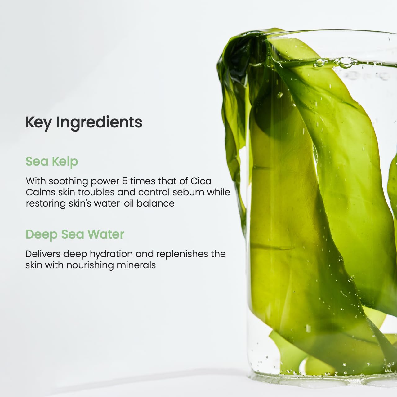 Biodance Refreshing Sea kelp Real Deep Mask