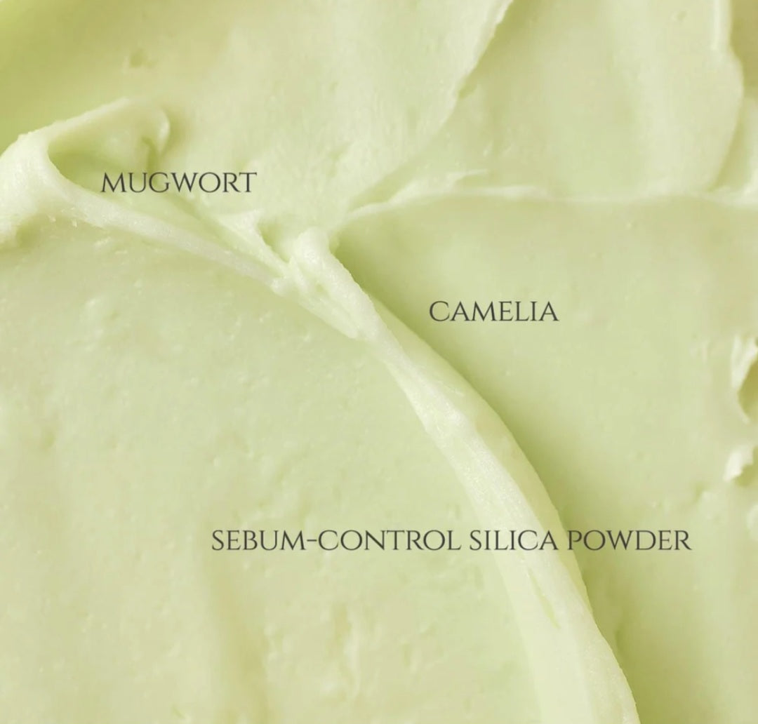 BEAUTY OF JOSEON Matte Sun Stick: Mugwort+Camelia SPF 50+ PA++++(18g)