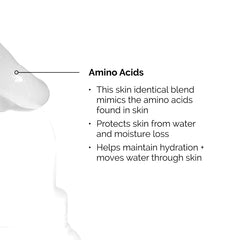 The Ordinary  Squalane and Amino Acids Lip Balm