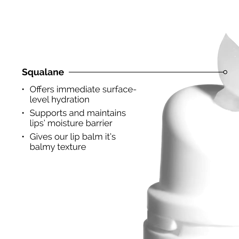 The Ordinary  Squalane and Amino Acids Lip Balm